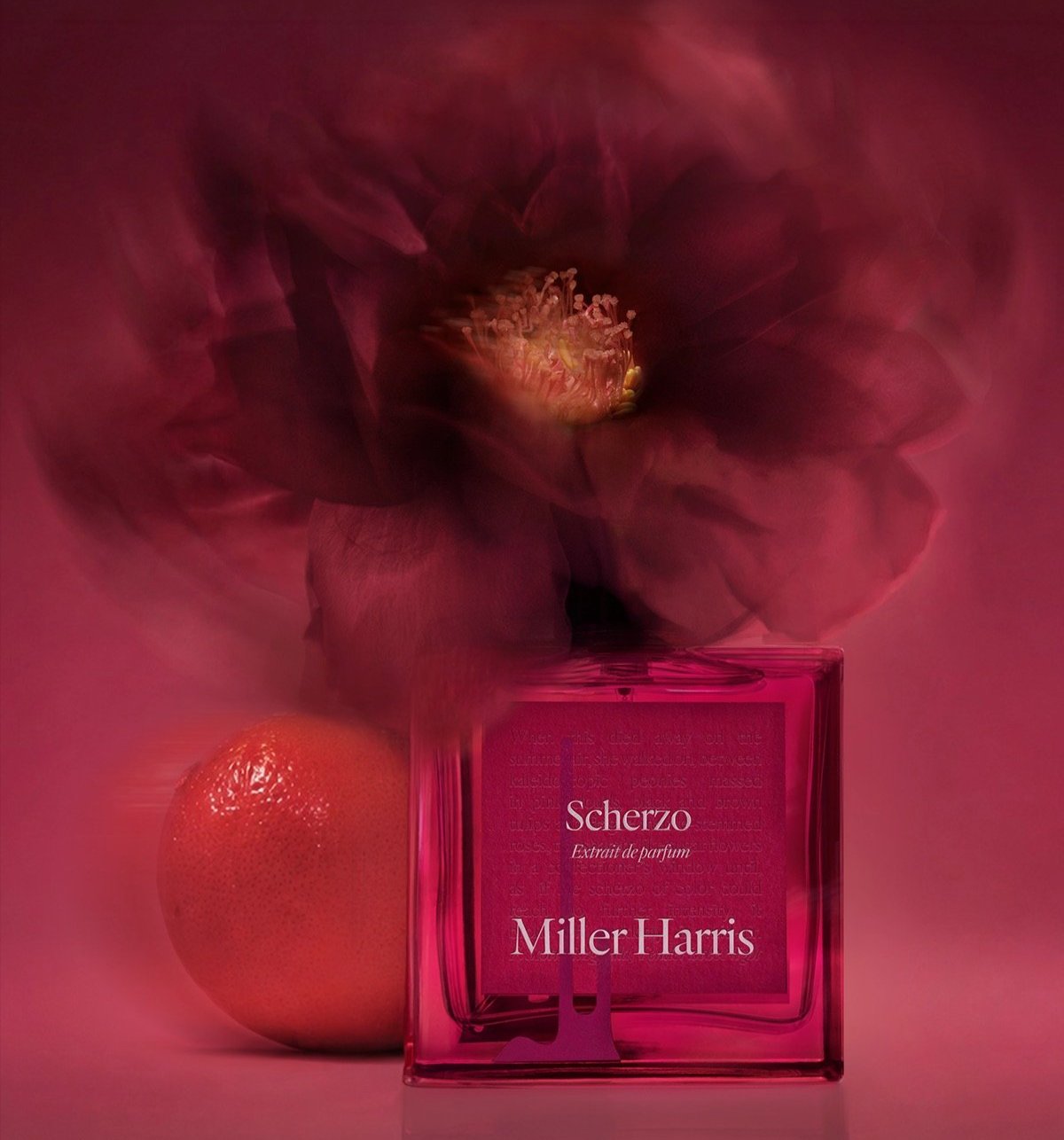 miller harris scherzo